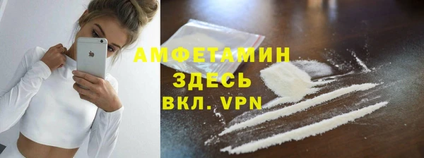 шишки Абаза