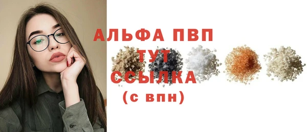 шишки Абаза