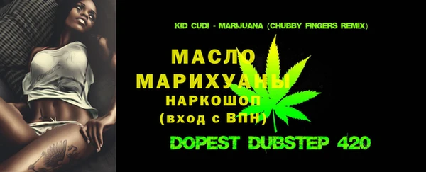 шишки Абаза