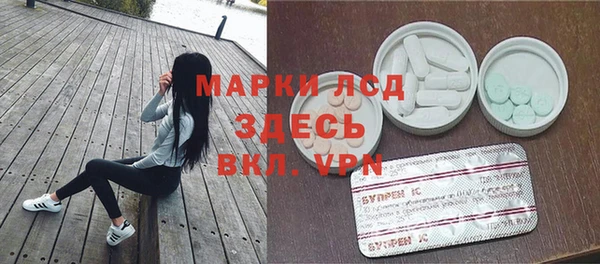 шишки Абаза