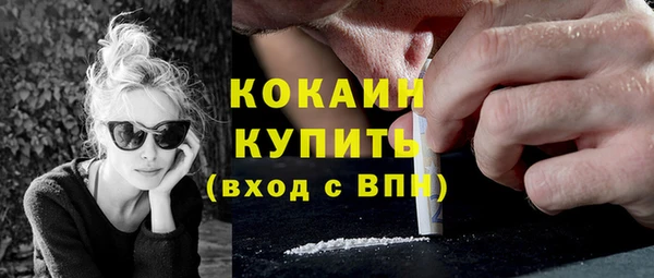 шишки Абаза